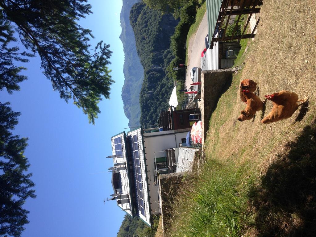 Hotel Rifugio Soldanella 3*