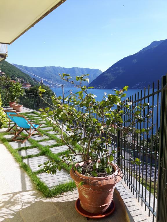 Apartment Balcone Dei Limoni