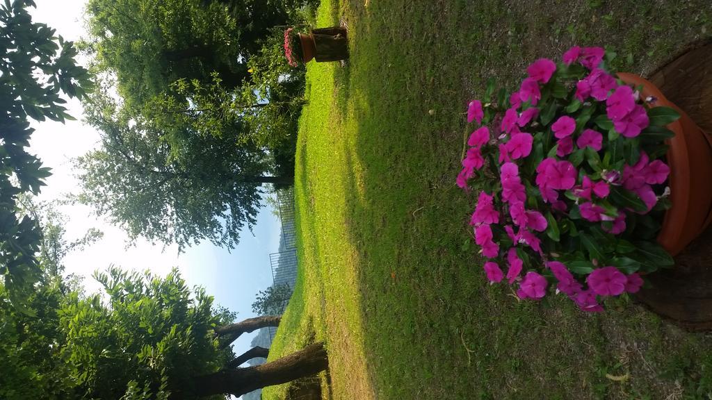 Holiday home Nel Bosco *