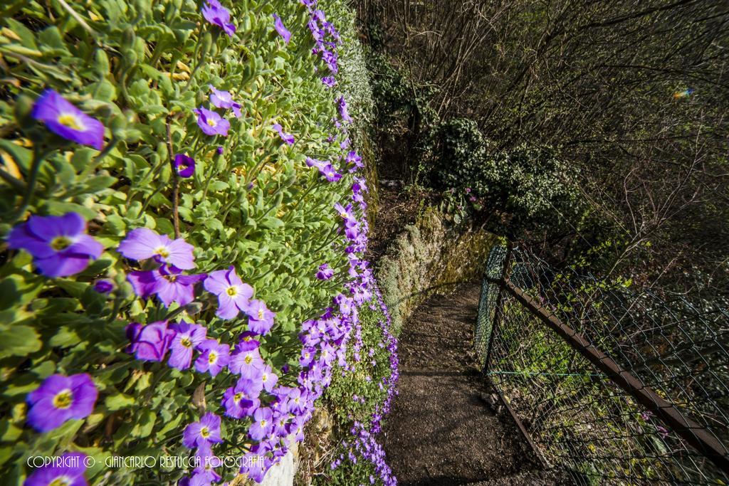 Il Balcone Sul
