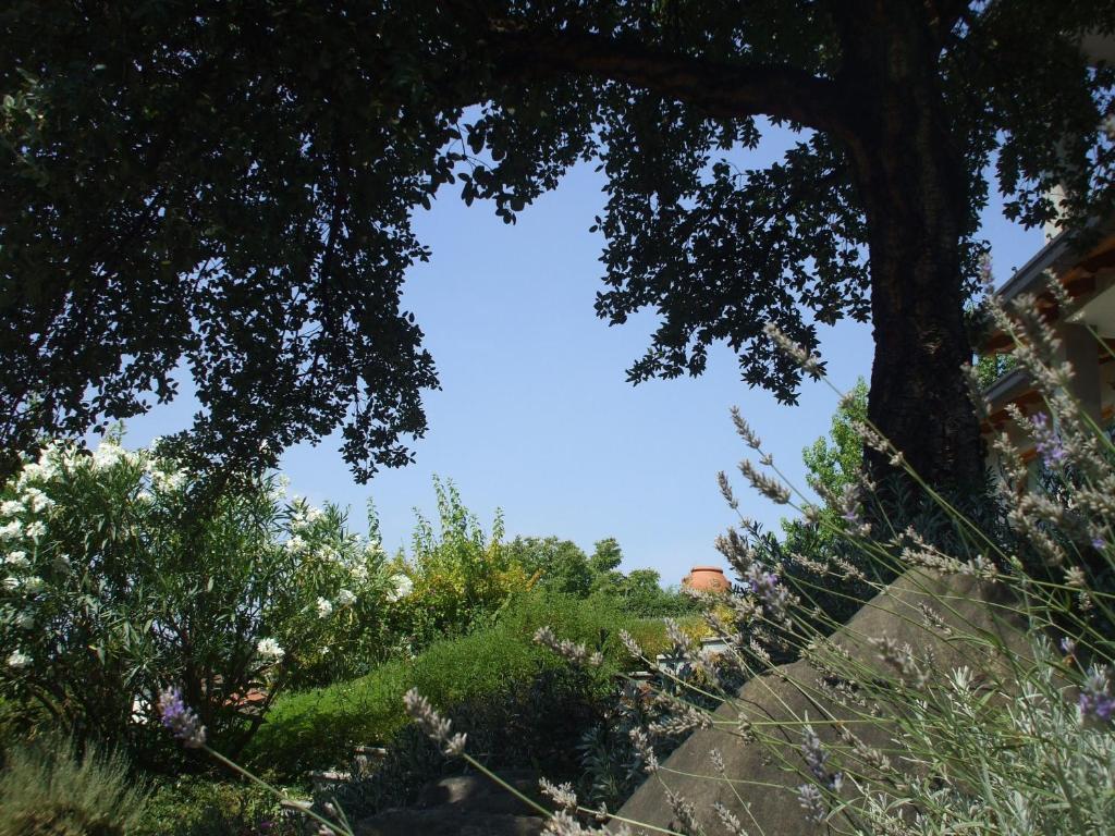 Bed & Breakfast Al Chiarè