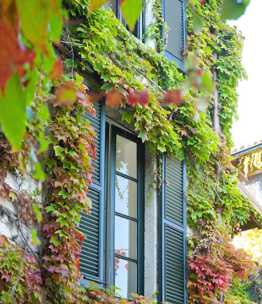 Pescallo Apartment