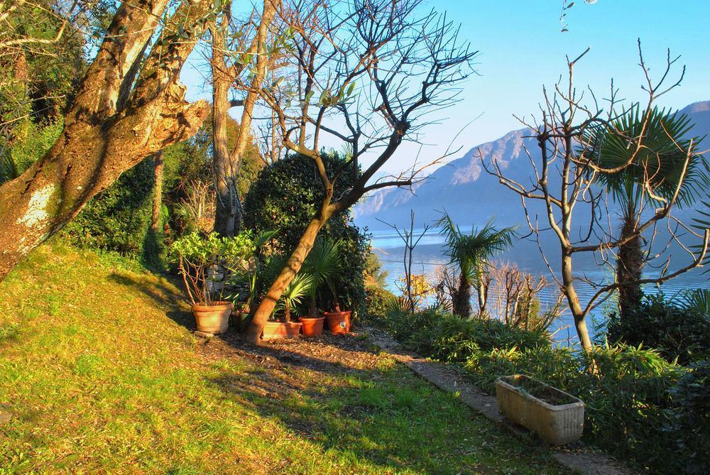 Palm Bay Garden * Sala Comacina