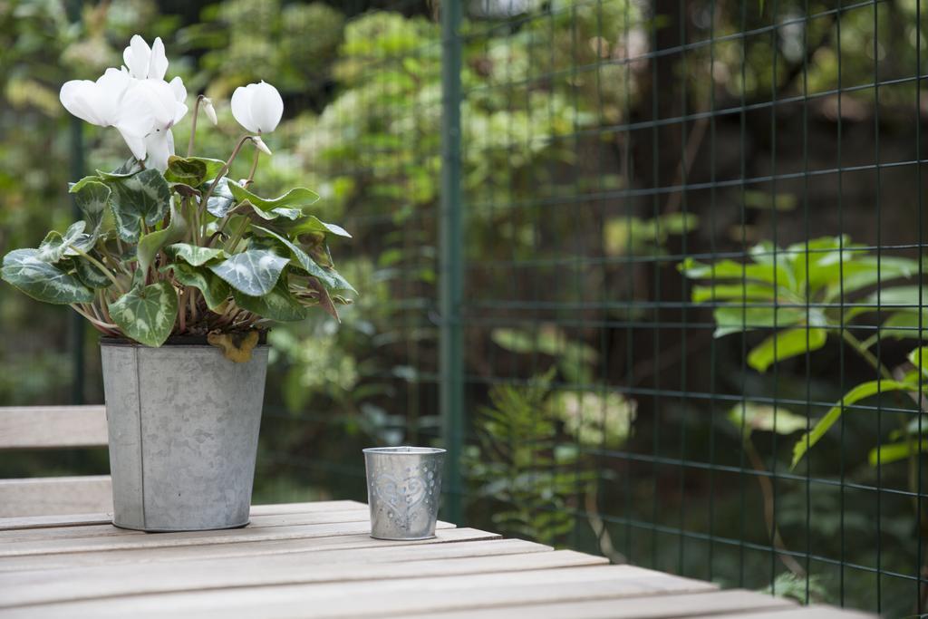 Appartamento The Secret Garden *