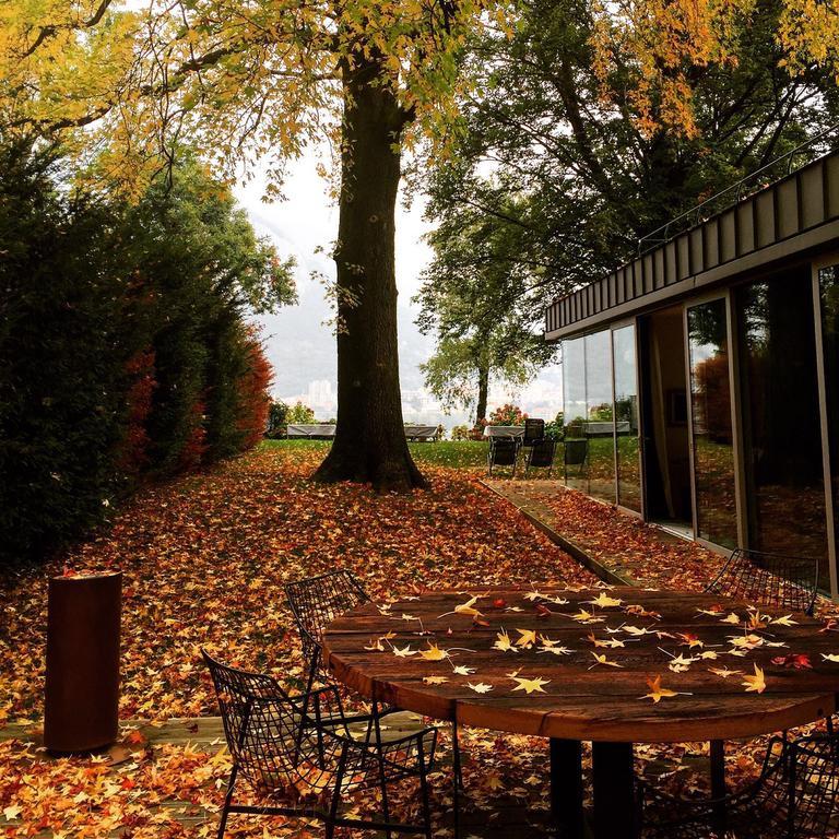 Guest house Casa Sull'albero
