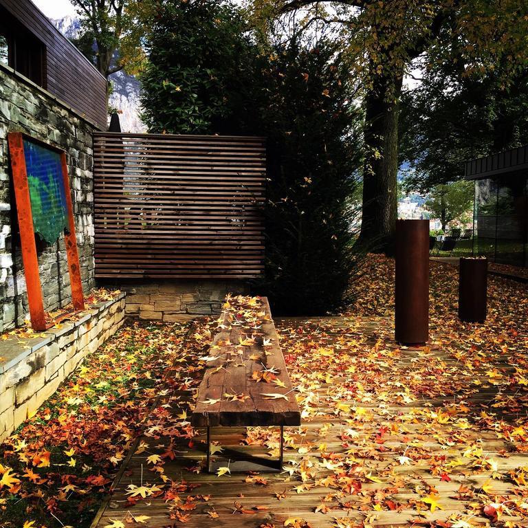 Casa Sull'albero