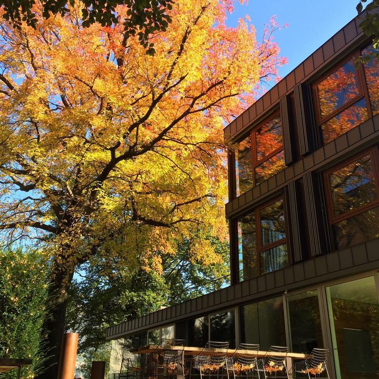 Guest house Casa Sull'albero Malgrate