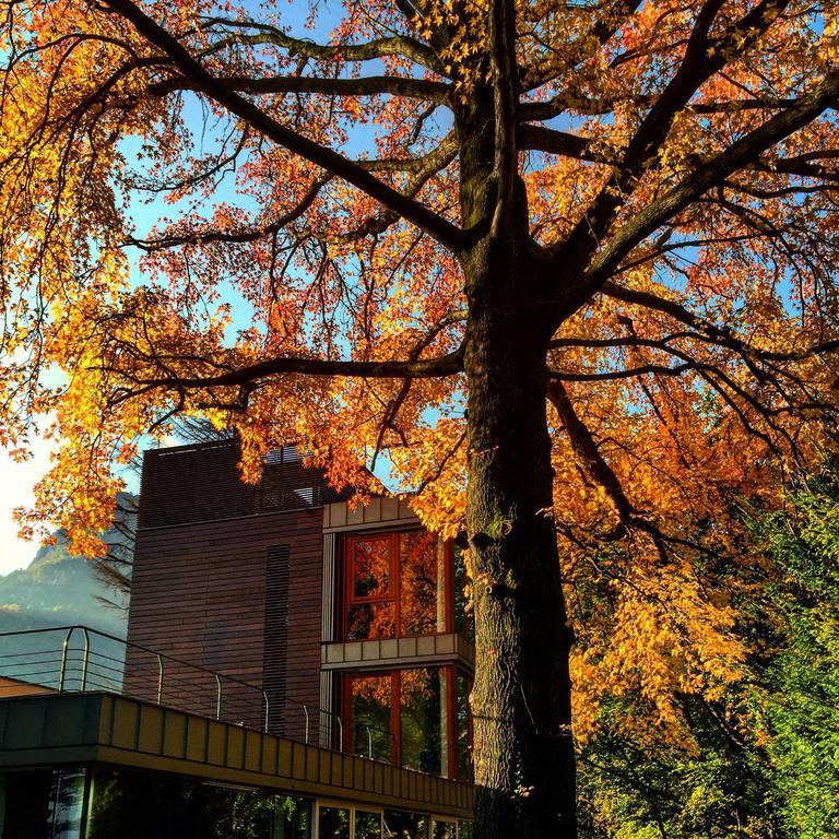 Guest house Casa Sull'albero