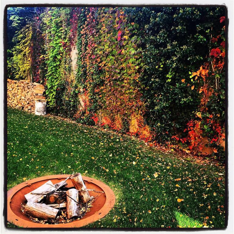 Guest house Casa Sull'albero