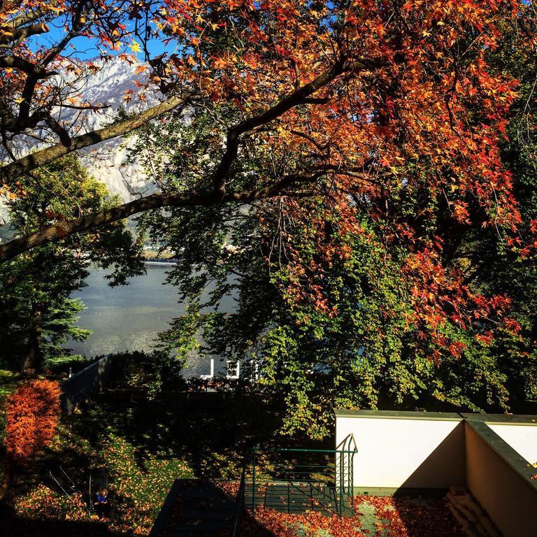 Casa Sull'albero