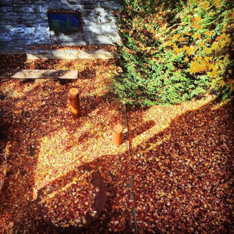 Guest house Casa Sull'albero