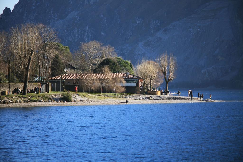 A...fior Di Lago *