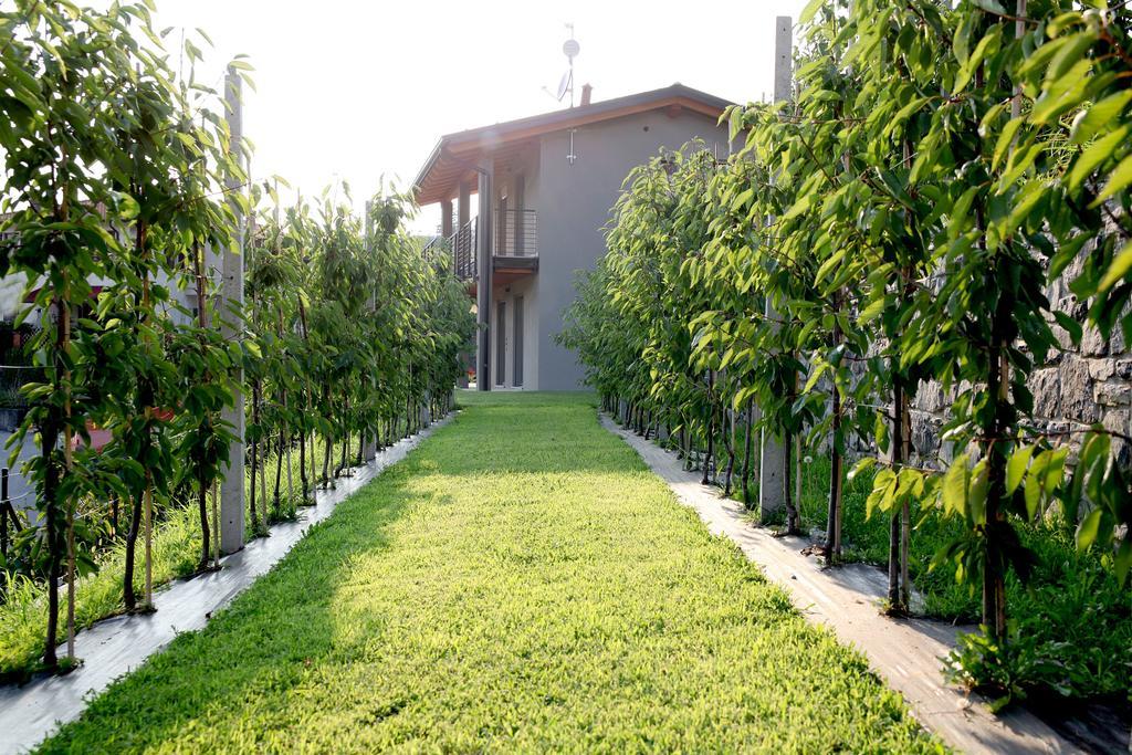 Apartment Di Caffe Maya By Holiday Solutions