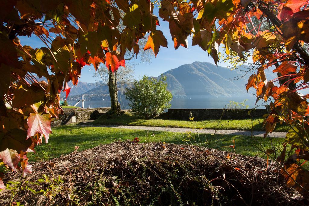 Villa Olivella