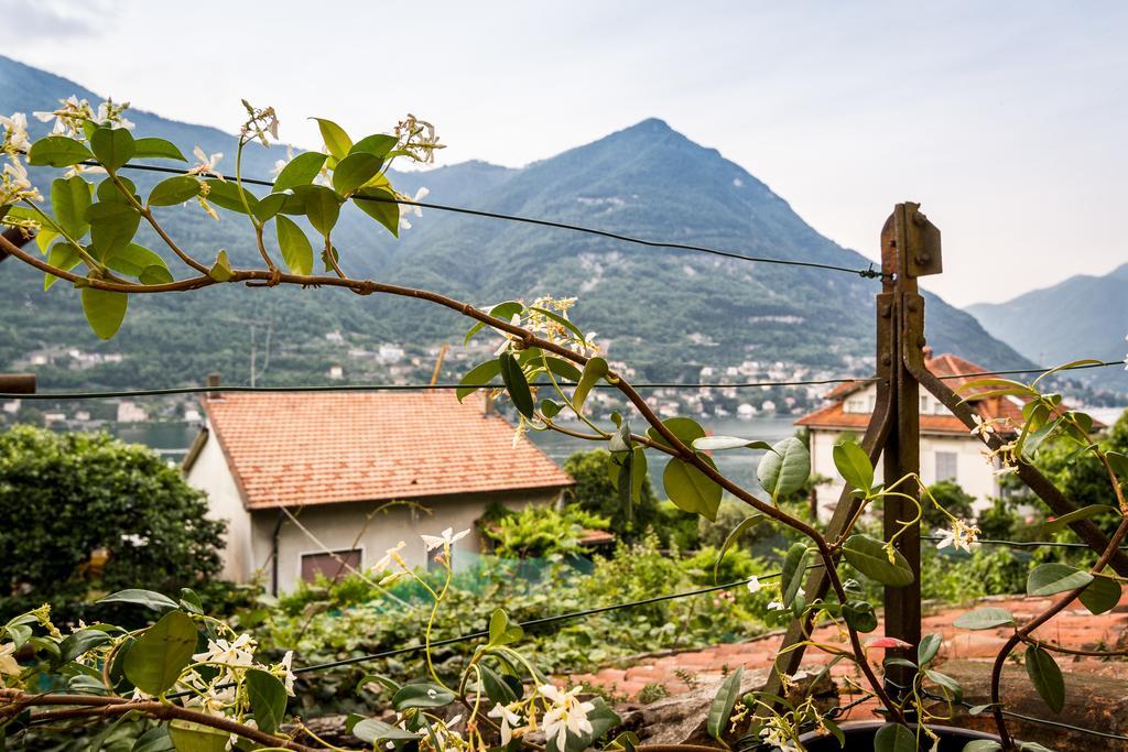 Vecchio Borgo Ferienhaus