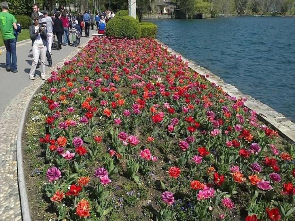 Lago Di Como Appartamento Mary Apartment