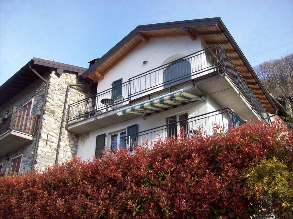 Casa Delle Camelie *