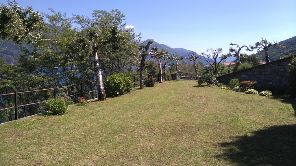 Riviera Cremia