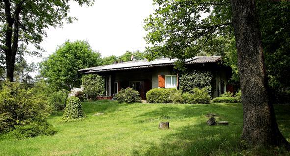 L'albero Maestro