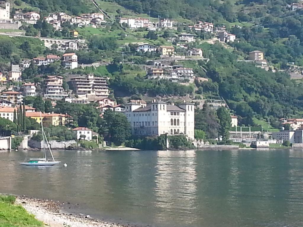Giardino Ulivo *