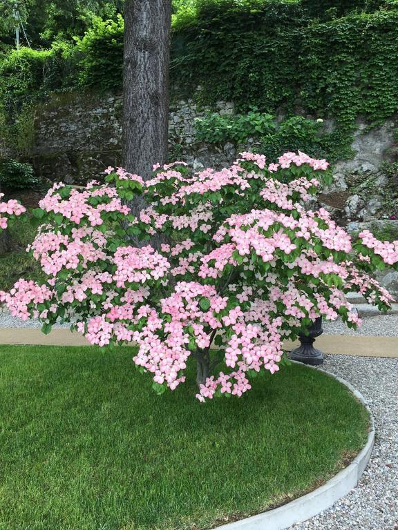 Relais Augusta *