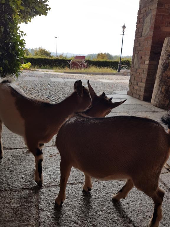 Agriturismo La Cavallina Farm stay *