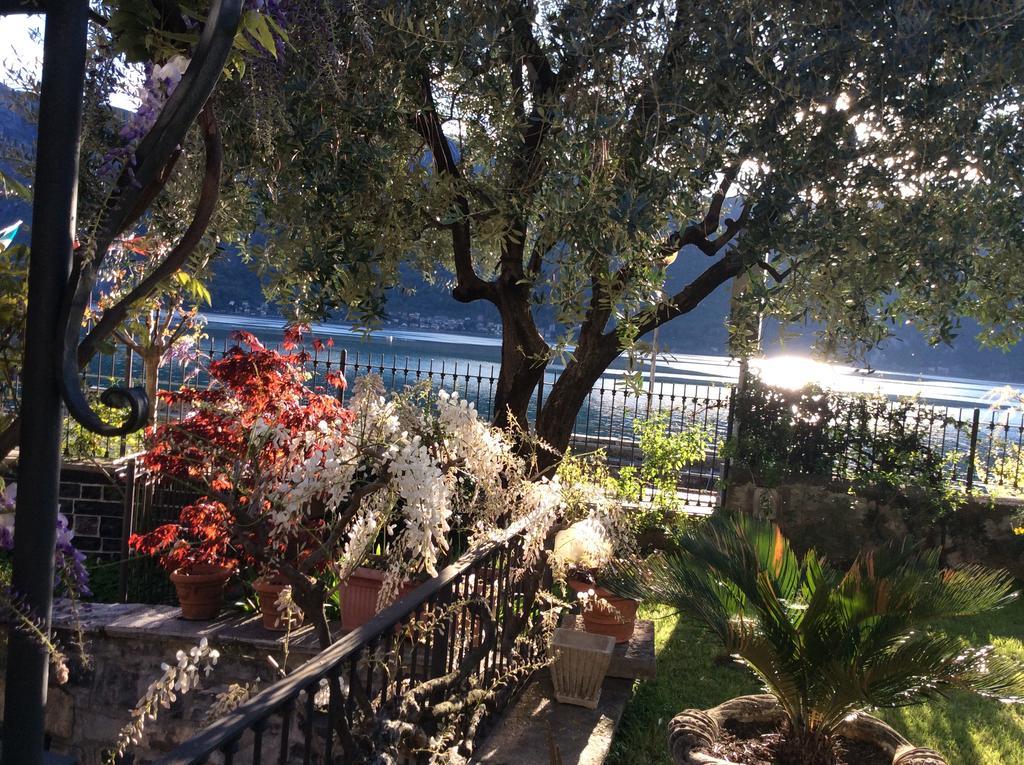 - Foresteria - Frontelago Bed & Breakfast Mandello del Lario