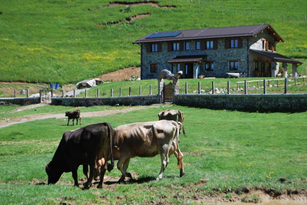 Farm stay Le Radici