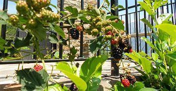 Holiday home Cacrusca *