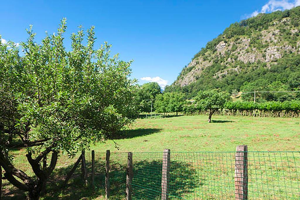 Podere Brughee
