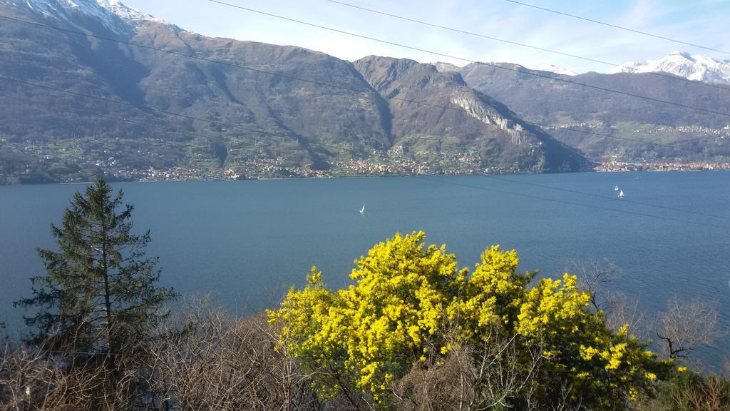 Al Castello Apartment Dervio