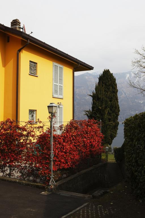 Charming View Apartment
