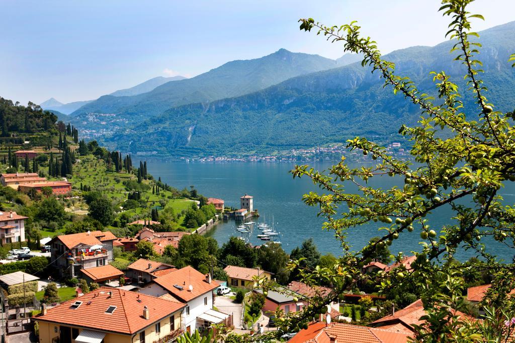 Belvedere