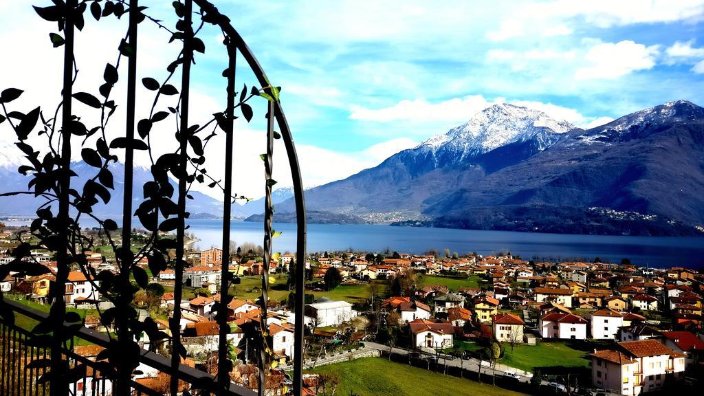 Apartment Ulivi On The