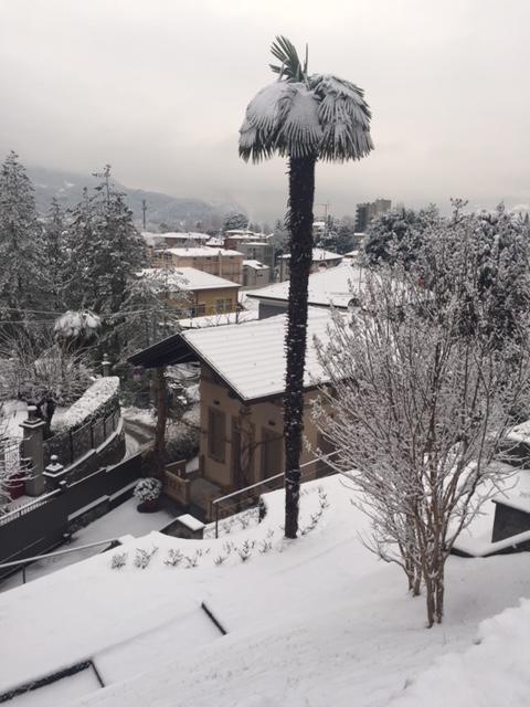 Glicine Casa vacanze