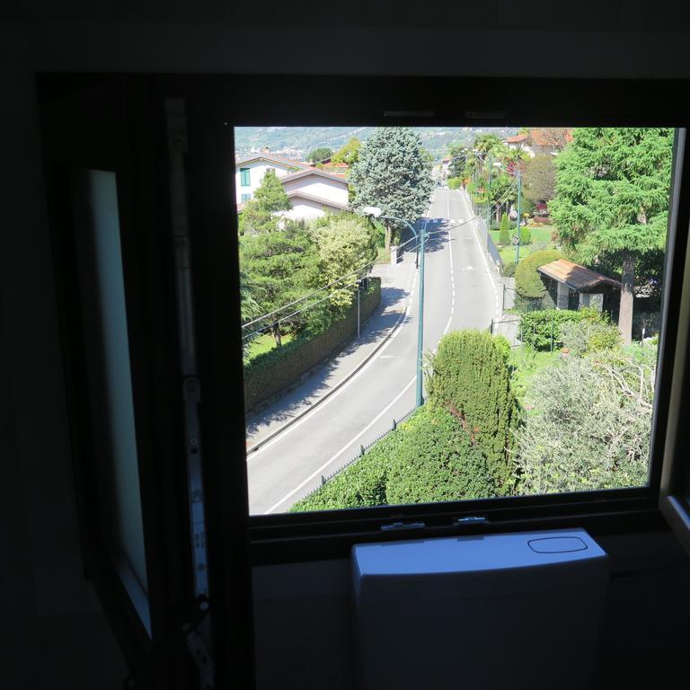 Apartment Art In Flower *