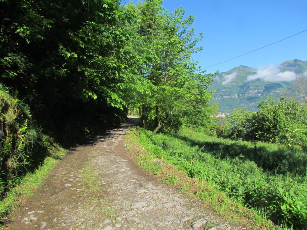 Madonna Dei Ceppi Farm stay