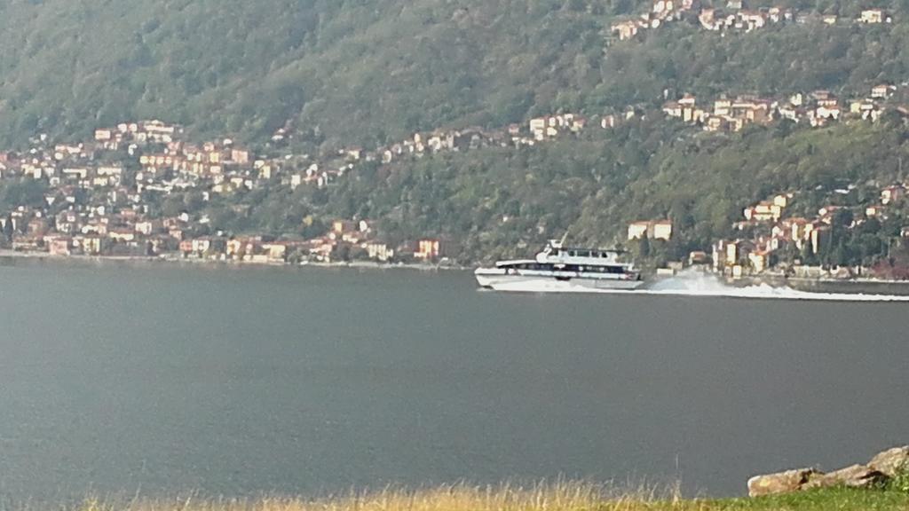 Agrifoglio House *