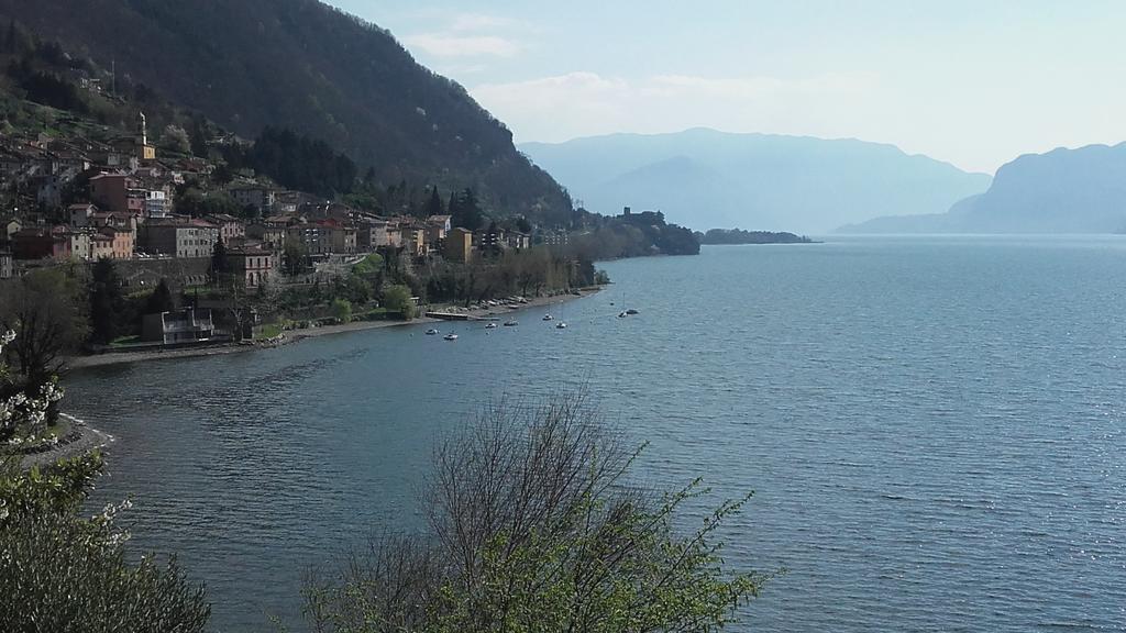 Agrifoglio House