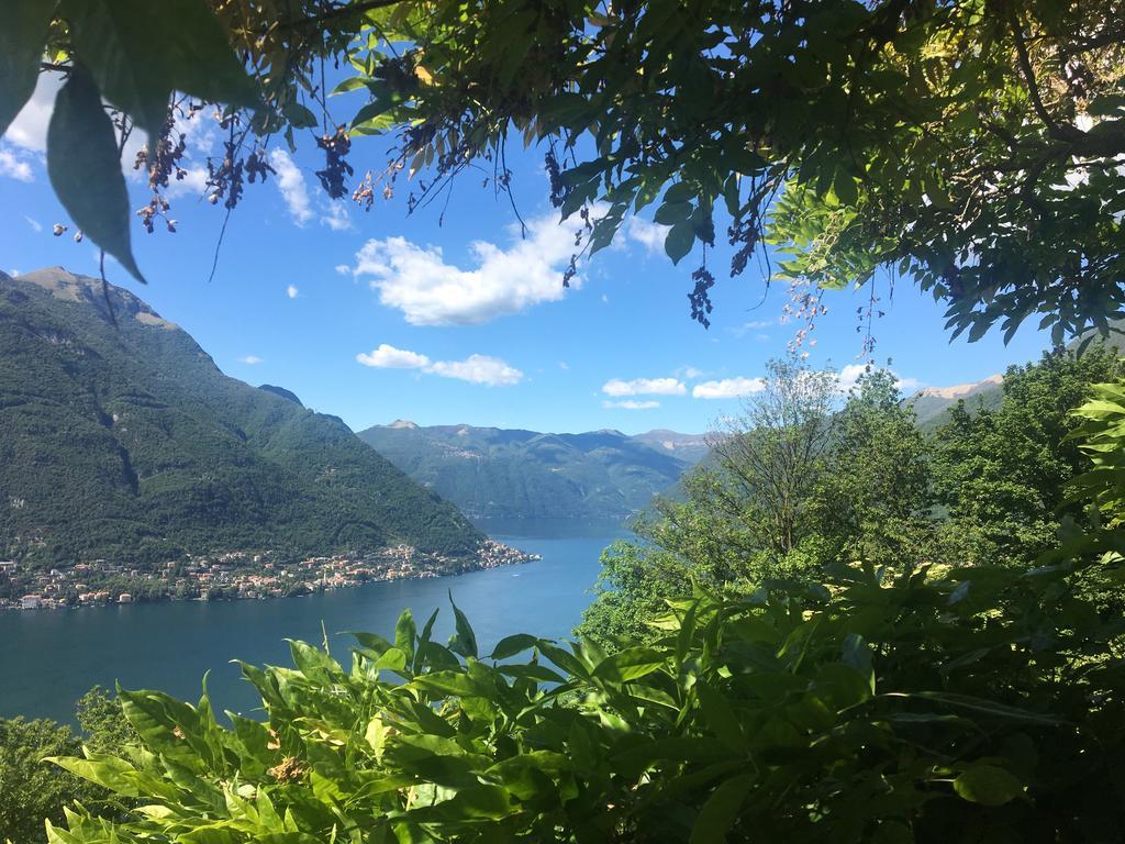 Le Ortensie Faggeto Lario