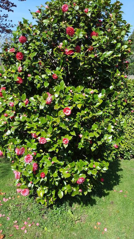 Holiday home Casa Vacanze Le Violette