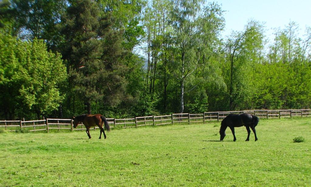 Agriturismo Cassinazza Farm stay