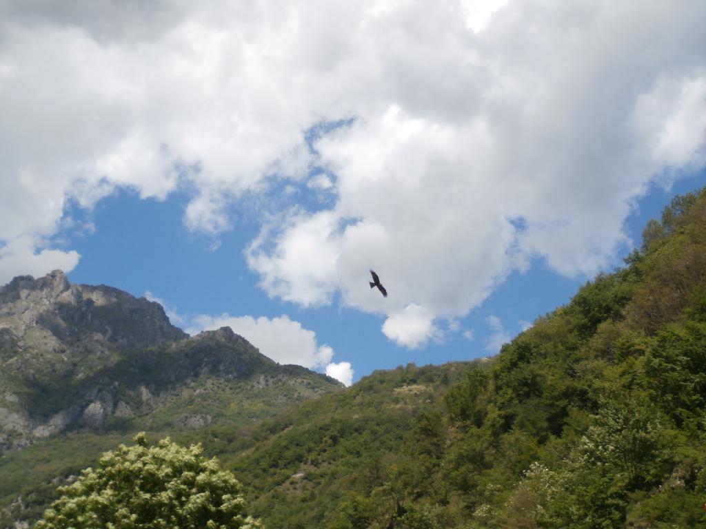 Agriturismo La Vecchia Chioderia Grandola ed Uniti