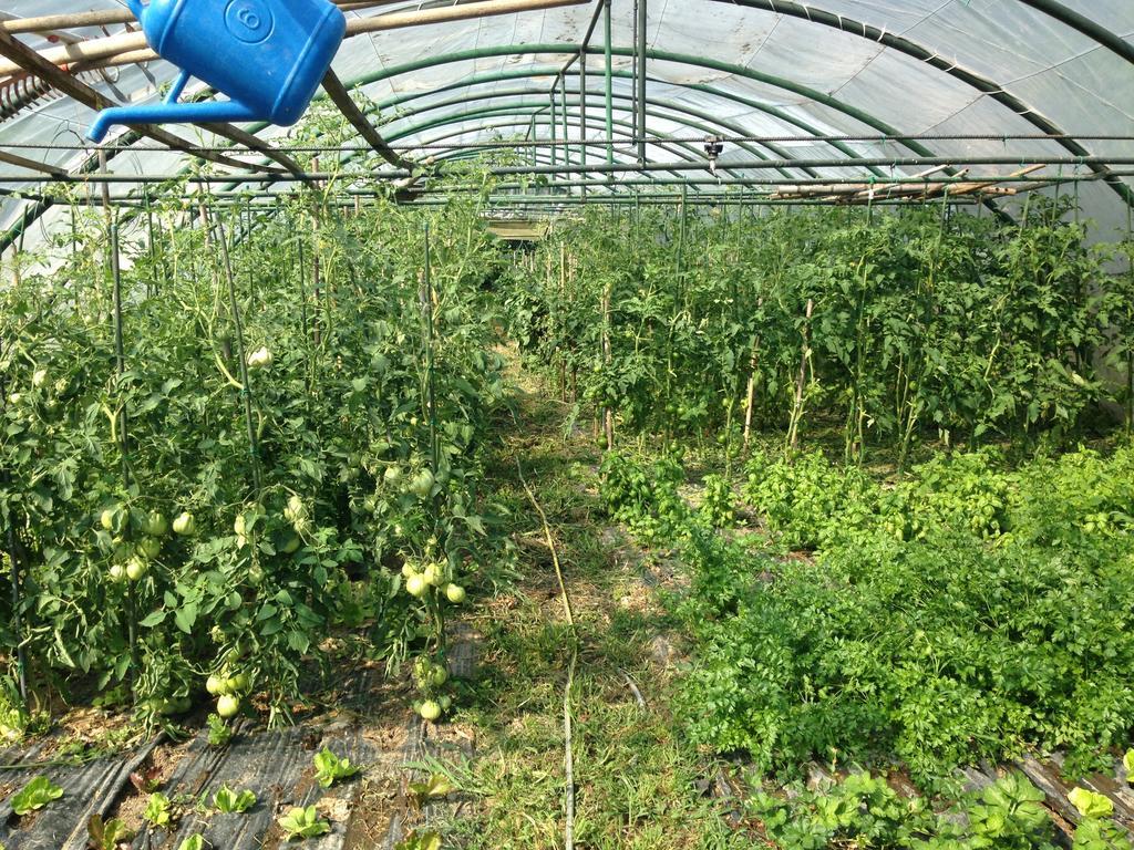 Al Marnich Farm stay *
