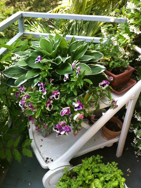 Bed & Breakfast Le Ortensie -lago Di Como *