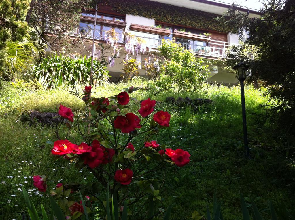 Bed & Breakfast Le Ortensie -lago Di Como Lierna