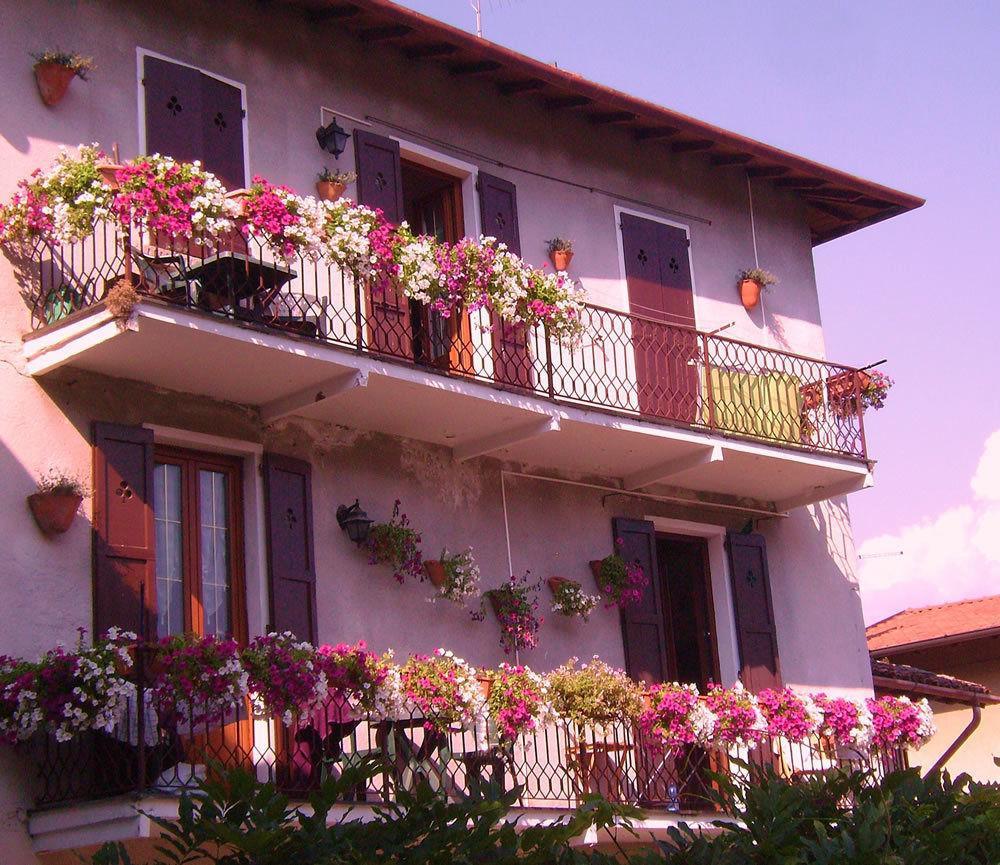 Charming Glicine And Azalea House Art And Colour With Lakeview Cadenabbia