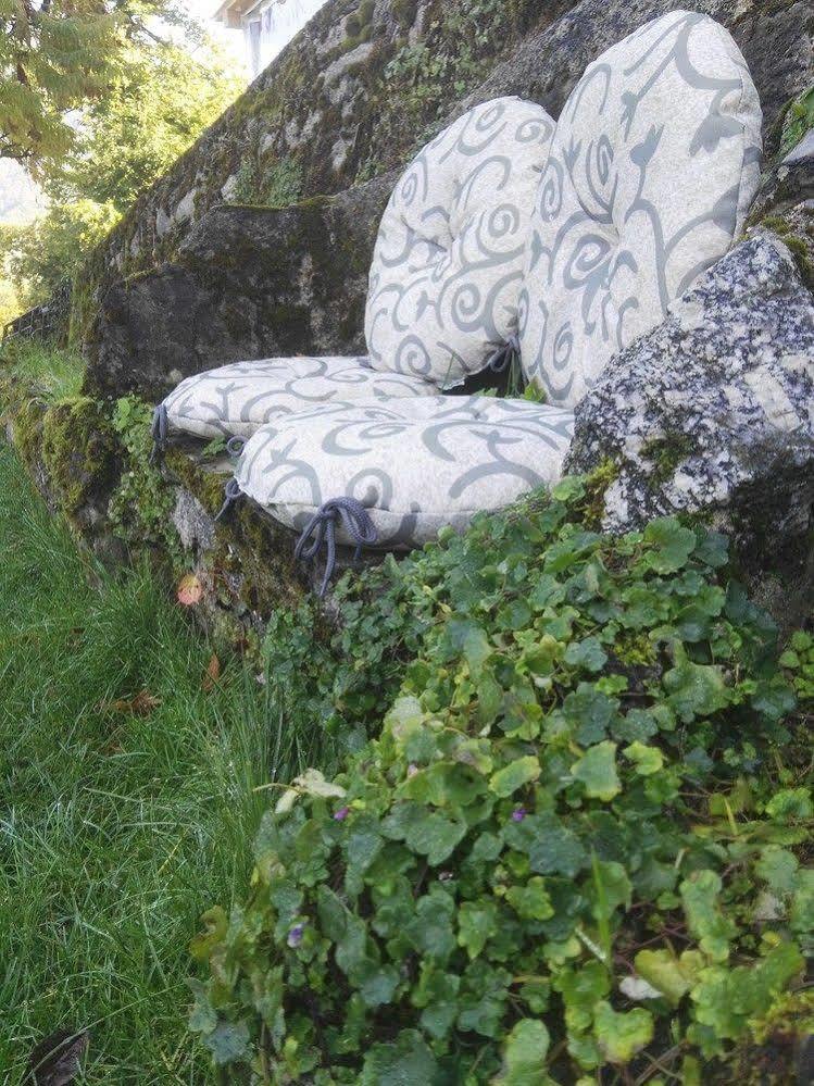 Essentia * Faggeto Lario