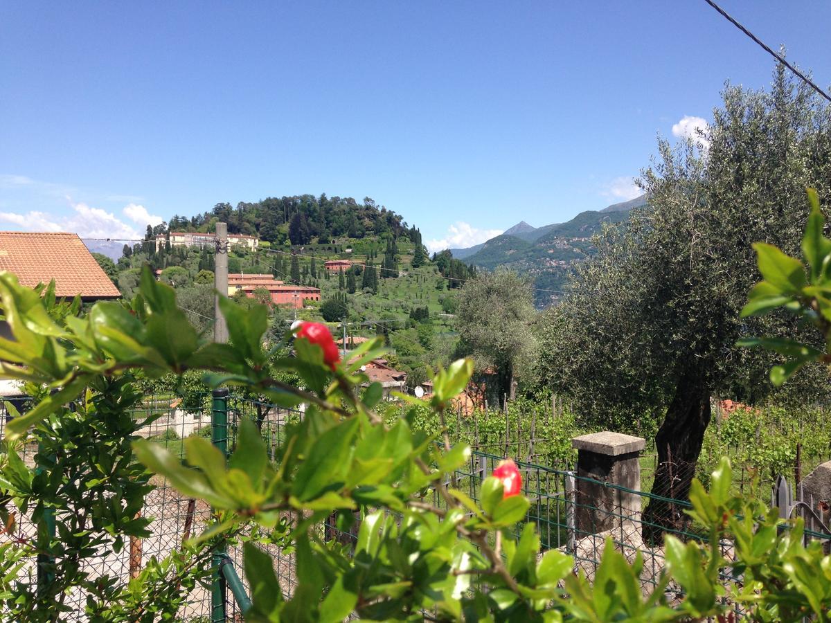 Bed & Breakfast Charming Boutique 2*