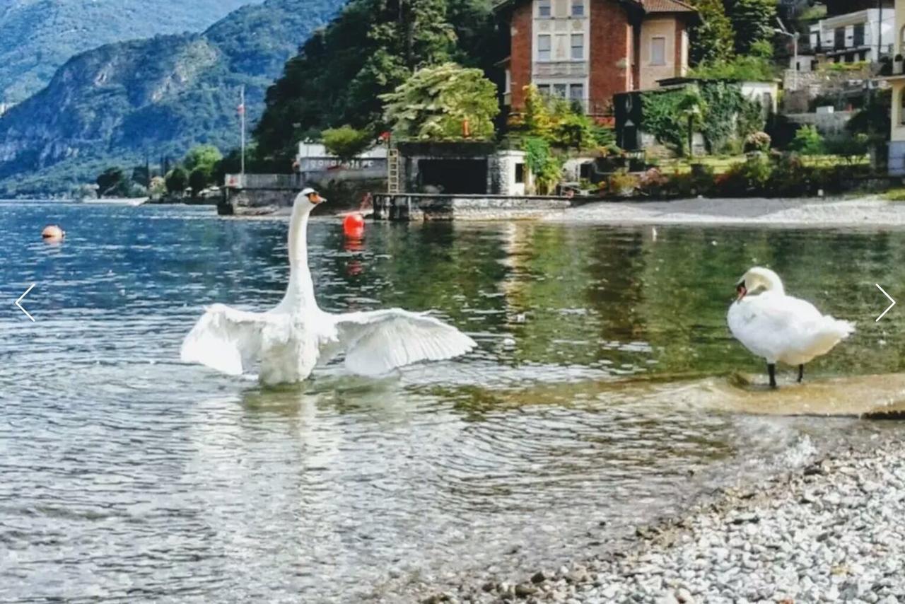 Le Grigne * Oliveto Lario